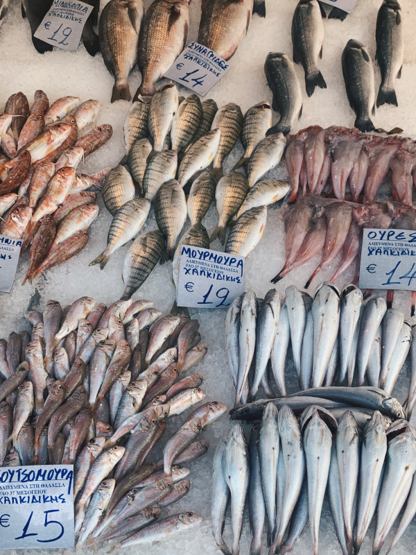 ιχθυοπωλειο-θεσσαλονικη-κεντρο